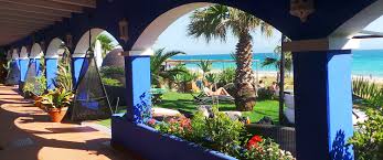 Arte Vida — hotel pet-friendly en Tarifa