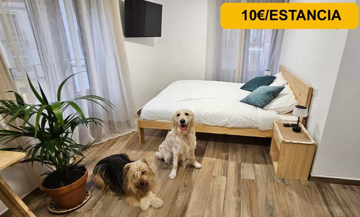 Casa Julvez — hotel pet-friendly en Calatayud