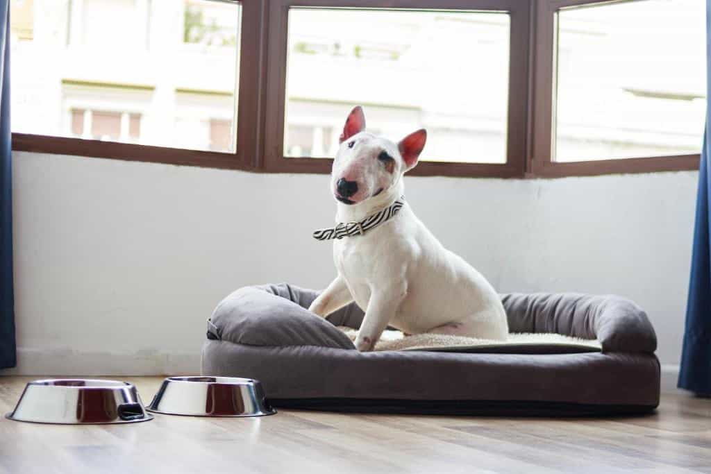 Casual del Mar Málaga — hotel pet-friendly en Málaga
