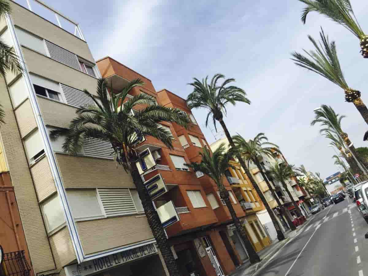 El Pinche de Oro — hotel pet-friendly en Benicarló