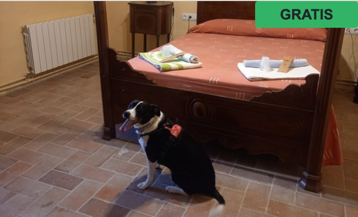 Hostal Rural Mas Blanc — hotel pet-friendly en Vic