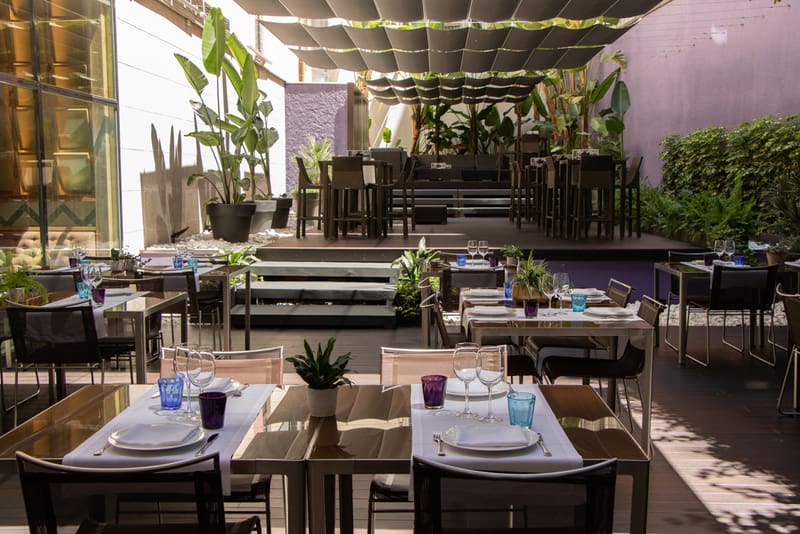 Hotel Barcelona Catedral — hotel pet-friendly en Barcelona