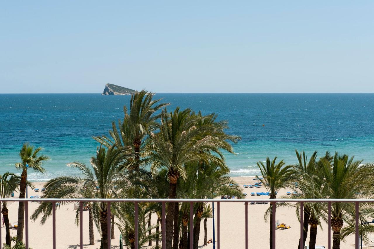 Hotel El Palmeral — hotel pet-friendly en Benidorm