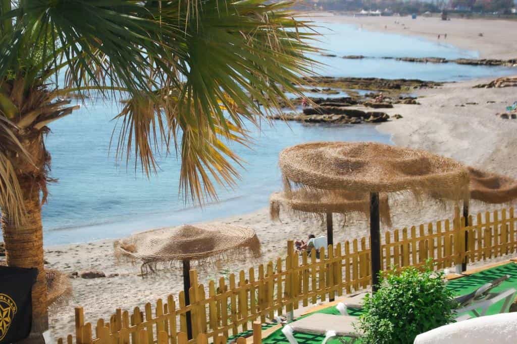 Hotel Patricia — hotel pet-friendly en San Roque