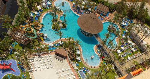 Magic Tropical Splash — hotel pet-friendly en Benidorm