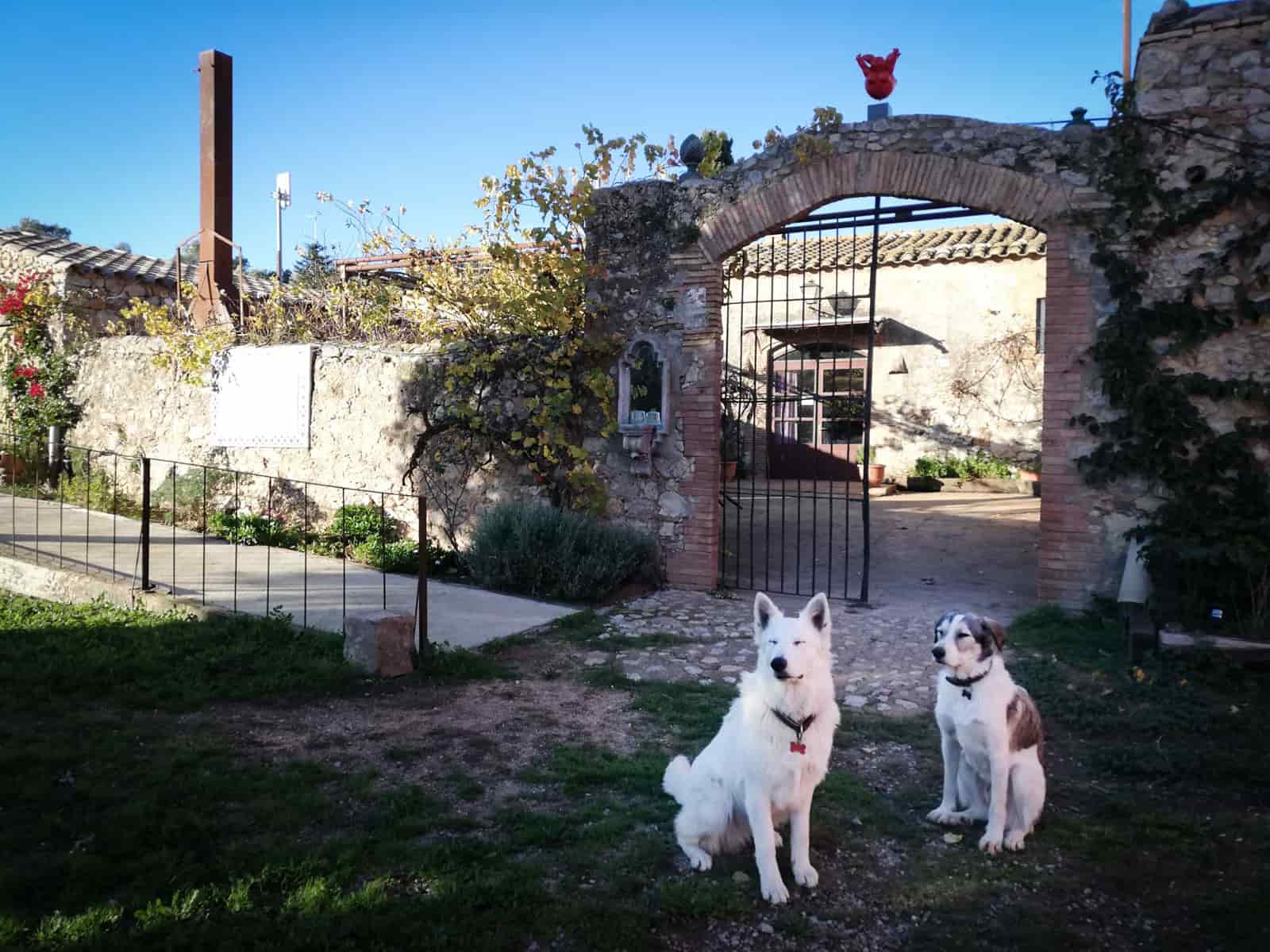 Mas Del Llop Blanc — hotel pet-friendly en L'Escala