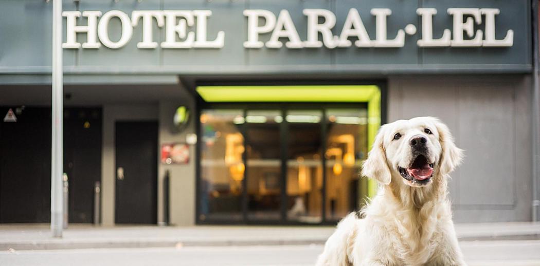Paral·lel — hotel pet-friendly en Barcelona